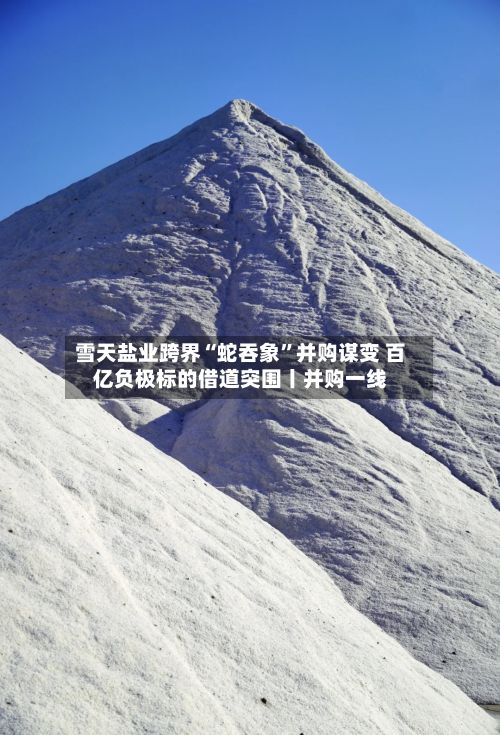 雪天盐业跨界“蛇吞象”并购谋变 百亿负极标的借道突围丨并购一线-第3张图片
