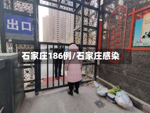 石家庄186例/石家庄感染-第2张图片