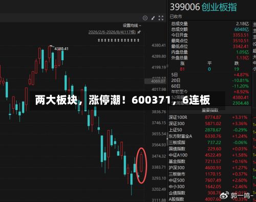 两大板块，涨停潮！600371，6连板-第2张图片