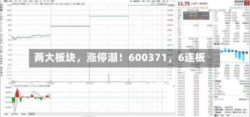 两大板块,涨停潮!600371,6连板