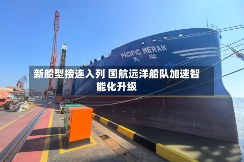 新船型接连入列 国航远洋船队加速智能化升级