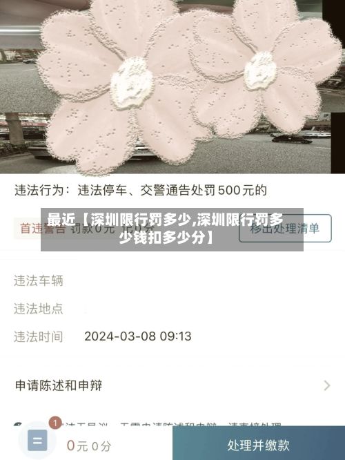 最近【深圳限行罚多少,深圳限行罚多少钱扣多少分】-第3张图片