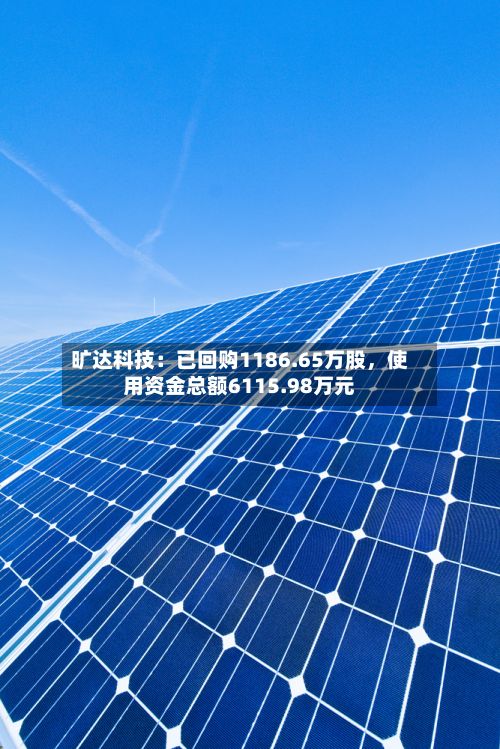 旷达科技：已回购1186.65万股，使用资金总额6115.98万元-第2张图片