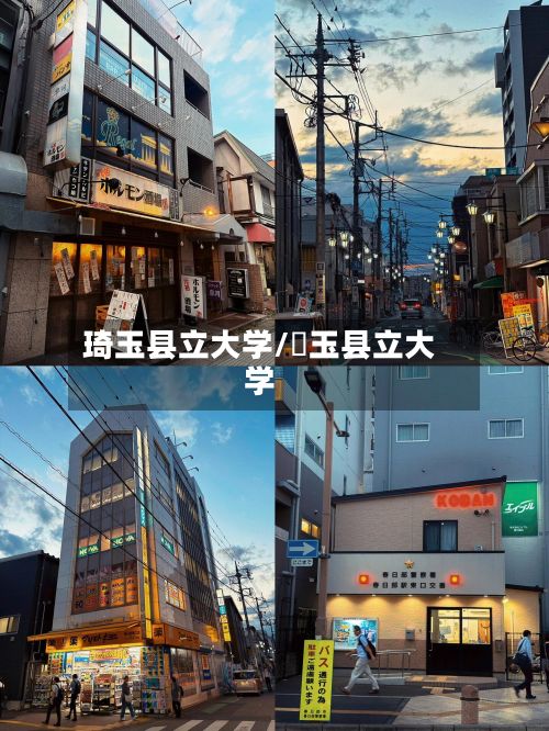 琦玉县立大学/埼玉县立大学-第2张图片