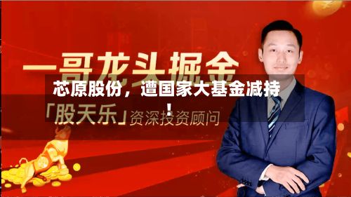 芯原股份	，遭国家大基金减持！-第2张图片