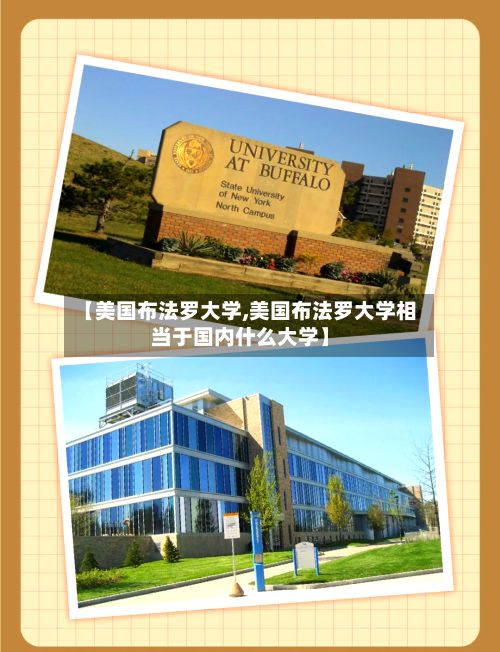 【美国布法罗大学,美国布法罗大学相当于国内什么大学】-第2张图片