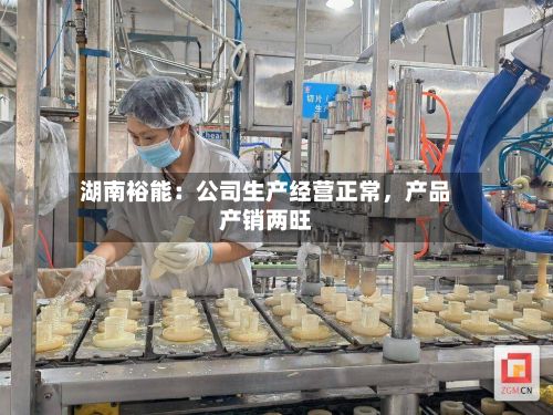 湖南裕能:公司生产经营正常,产品产销两旺
