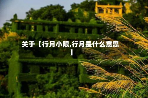 关于【行月小限,行月是什么意思】