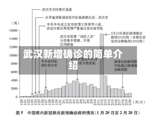 武汉新增确诊的简单介绍