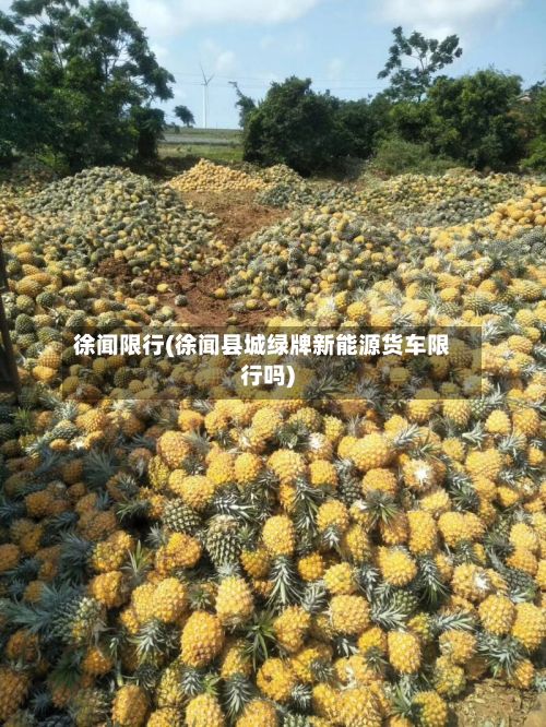徐闻限行(徐闻县城绿牌新能源货车限行吗)