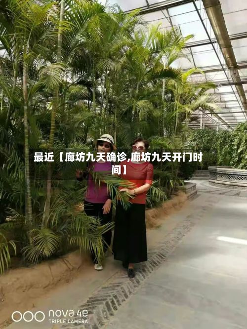 最近【廊坊九天确诊,廊坊九天开门时间】