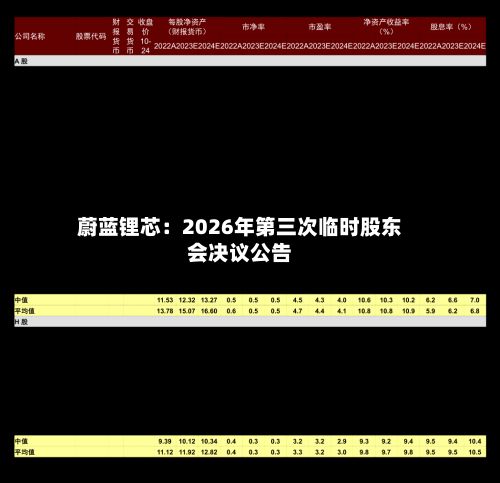 蔚蓝锂芯:2026年第三次临时股东会决议公告
