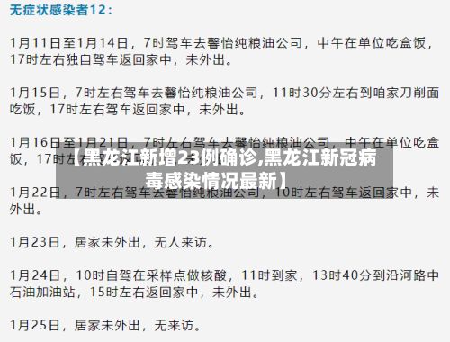 【黑龙江新增23例确诊,黑龙江新冠病毒感染情况最新】-第2张图片