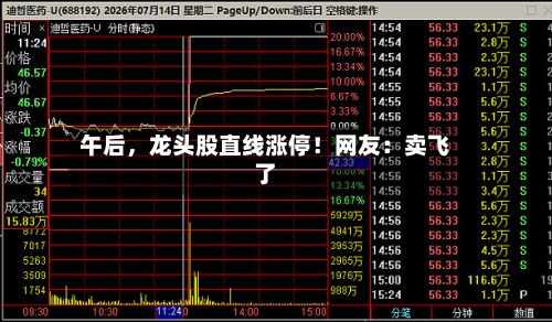午后	，龙头股直线涨停！网友：卖飞了-第3张图片