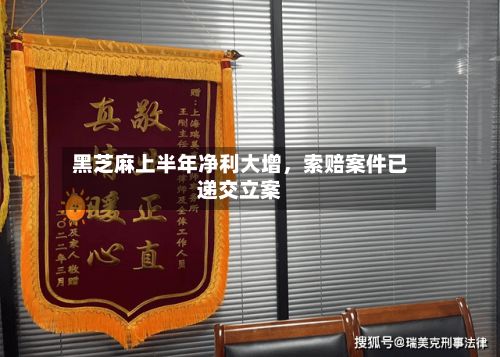 黑芝麻上半年净利大增，索赔案件已递交立案-第2张图片