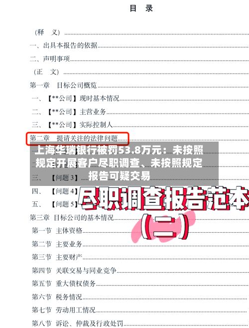 上海华瑞银行被罚53.8万元：未按照规定开展客户尽职调查	、未按照规定报告可疑交易-第2张图片