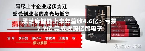黑芝麻智能上半年营收4.6亿：亏损7.7亿 完成收购亿智电子-第2张图片