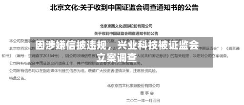 因涉嫌信披违规	，兴业科技被证监会立案调查-第3张图片