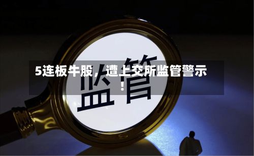 5连板牛股，遭上交所监管警示！-第2张图片