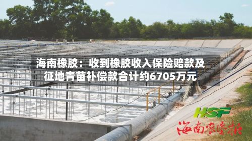 海南橡胶:收到橡胶收入保险赔款及征地青苗补偿款合计约6705万元