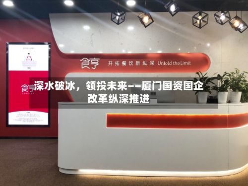 深水破冰，领投未来——厦门国资国企改革纵深推进-第3张图片