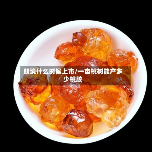 朗境什么时候上市/一亩桃树能产多少桃胶-第2张图片