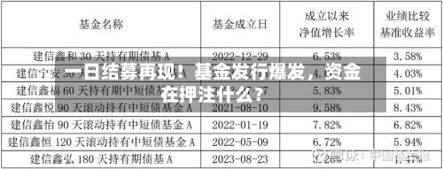 一日结募再现！基金发行爆发，资金在押注什么？-第2张图片