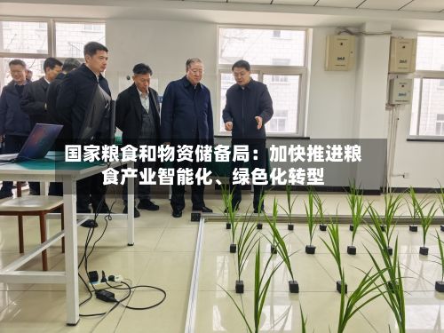 国家粮食和物资储备局：加快推进粮食产业智能化	、绿色化转型-第2张图片
