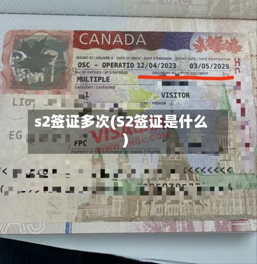 s2签证多次(S2签证是什么)-第2张图片