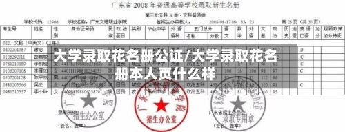 大学录取花名册公证/大学录取花名册本人页什么样-第3张图片