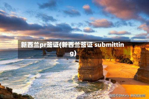 新西兰pr签证(新西兰签证 submitting)-第3张图片