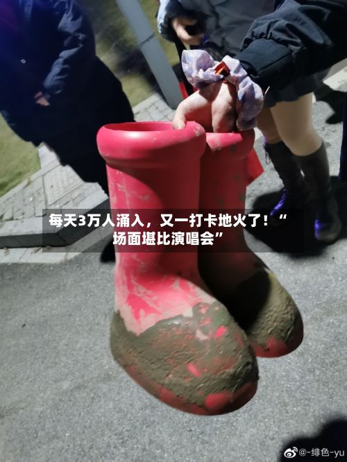 每天3万人涌入，又一打卡地火了！“场面堪比演唱会”