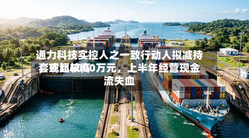 通力科技实控人之一致行动人拟减持,或比较高
套现超6000万元,上半年经营现金流失血