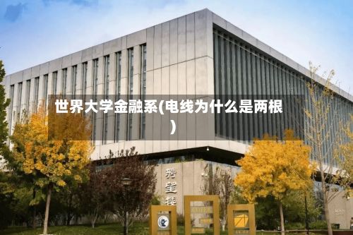 世界大学金融系(电线为什么是两根)-第3张图片
