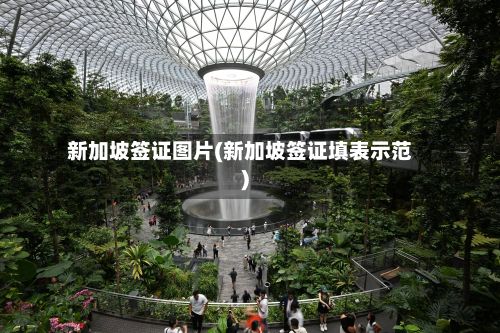 新加坡签证图片(新加坡签证填表示范)-第2张图片
