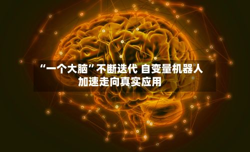 “一个大脑	”不断迭代 自变量机器人加速走向真实应用-第2张图片