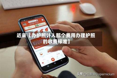 近来【办护照计入那个费用办理护照的收费标准】-第3张图片