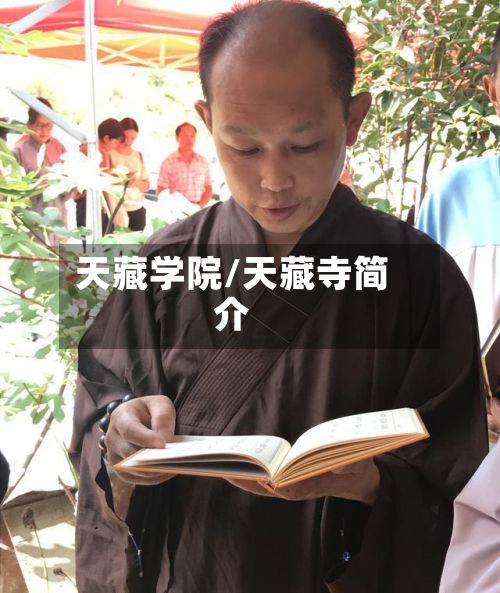 天藏学院/天藏寺简介
