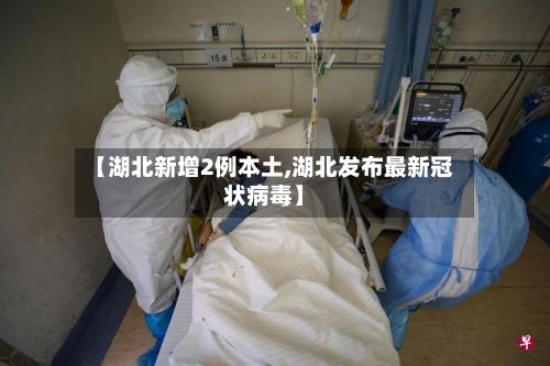 【湖北新增2例本土,湖北发布最新冠状病毒】