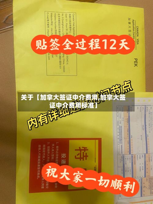 关于【加拿大签证中介费用,加拿大签证中介费用标准】-第3张图片