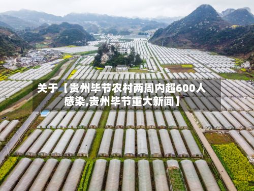 关于【贵州毕节农村两周内超600人感染,贵州毕节重大新闻】-第3张图片