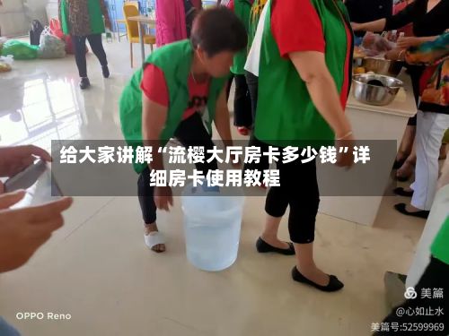 给大家讲解“流樱大厅房卡多少钱”详细房卡使用教程-第2张图片