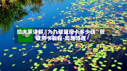 给大家讲解“九九联盟房卡多少钱”获取房卡教程-哔哩哔哩-第2张图片