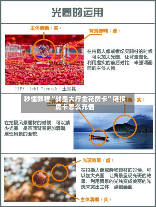 秒懂教程“战皇大厅金花房卡	”链接房卡怎么充值-第3张图片