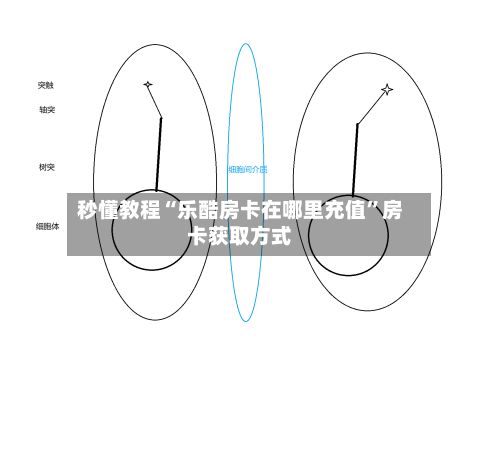 秒懂教程“乐酷房卡在哪里充值”房卡获取方式-第2张图片