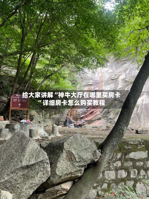 给大家讲解“神牛大厅在哪里买房卡”详细房卡怎么购买教程