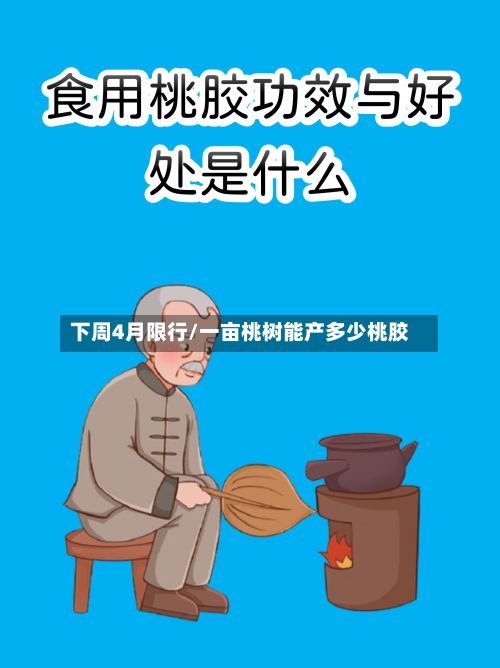 下周4月限行/一亩桃树能产多少桃胶-第2张图片