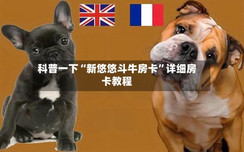 科普一下“新悠悠斗牛房卡”详细房卡教程-第2张图片