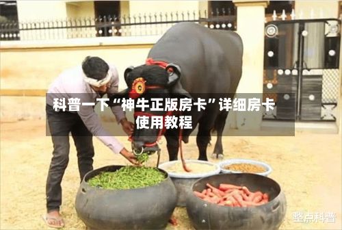科普一下“神牛正版房卡”详细房卡使用教程-第2张图片
