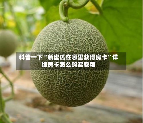 科普一下“新蜜瓜在哪里获得房卡	”详细房卡怎么购买教程-第3张图片